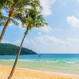 Capture d’écran 2025 08 04 à 22.47.08