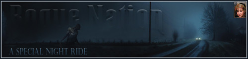 BluRoad Banner.jpg