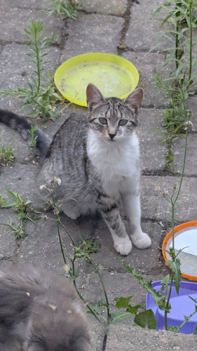 2fdcfe06 2520 465b b9cc 0c407e10d748 copied media~2 (1)