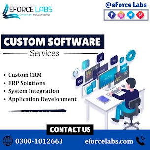 Transform your business with eForce Labs' Custom Software Services!.jpg