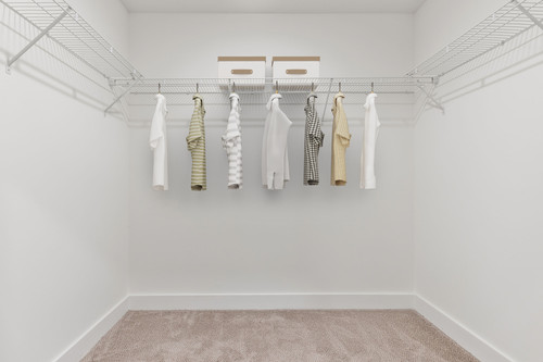 C244250 Lirio at Rafina Unit B2 Lotus 2B2B Closet 02 T3A0676 VS.jpg