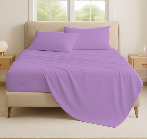 LAVENDER 03.jpg