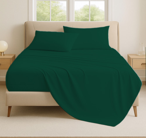 OLIVE 03.jpg