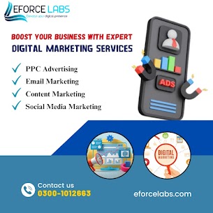 Boost Your Business with eForce Labs’ Digital Marketing Services!.jpg
