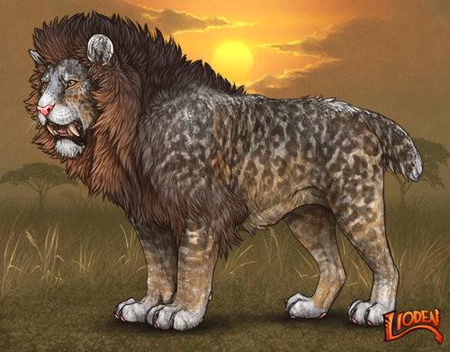 lion 618 (1).png