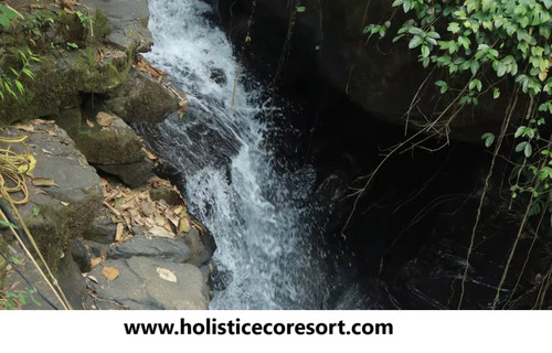 Best eco resort Kerala.jpg