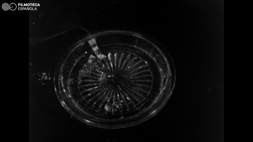 vlcsnap 2025 06 30 19h58m18s467.png