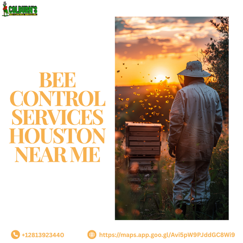 Reliable Bee Control Services in Houston Near You.png