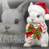 Xmas Bunny