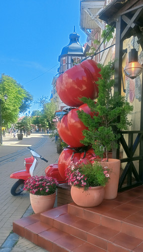 IMG 20250630 160051.jpg