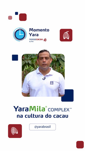 oIEYyWEQJNAFdEDOBYRfrTfnAjDdBCAIoANocM~tplv tiktokx origin.jpg