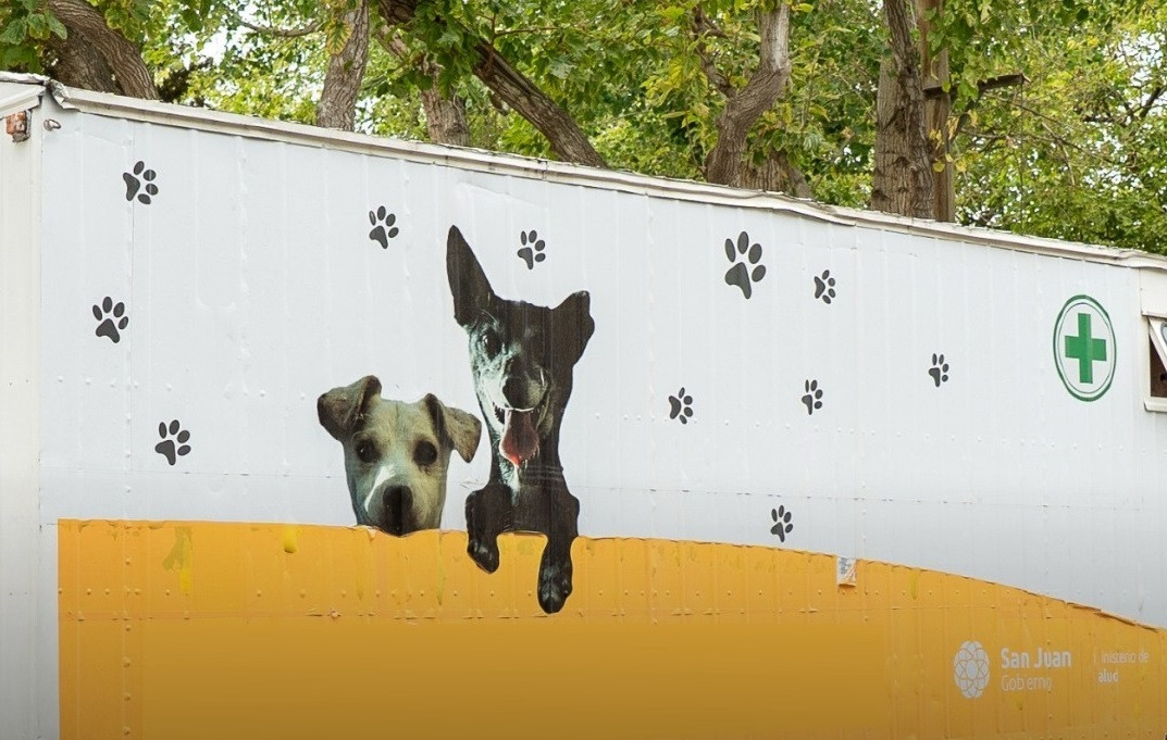 Durante esta semana estará operativo el Quirófano Móvil para mascotas y la vacunación antirrábica en Chimbas.