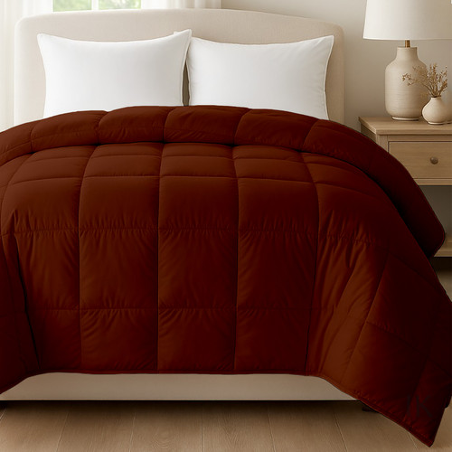 Brown (4).jpg