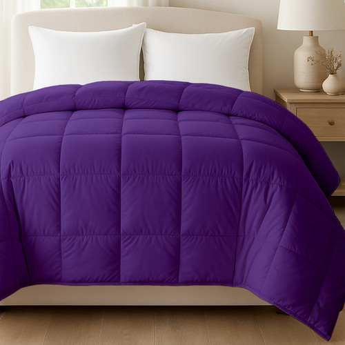 Purple (4).jpg