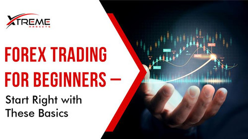 Forex Trading for Beginners Start Right with These Basics.jpg