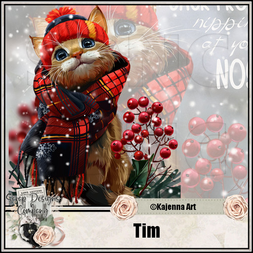Tim.jpg