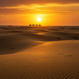 prompt image 3 768x1024