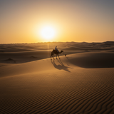 prompt image 3 768x1024