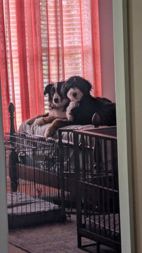 80c7d5e2 add5 41df a2b2 18ce9e8391d3 1 all 20220.jpg