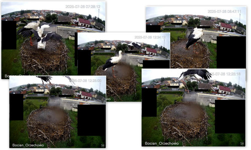 Bilder14.jpg
