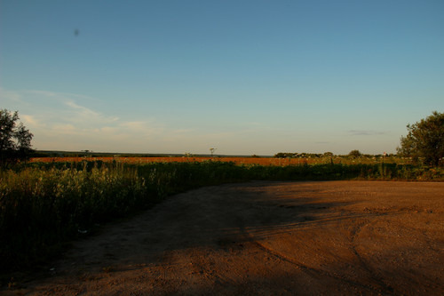 IMG 2639a1.jpg