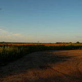 IMG 2639a1