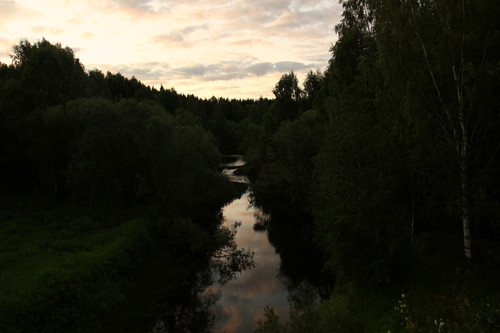 IMG 2659a1.jpg