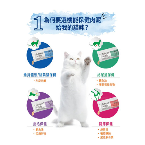 image WH 1200x1200px (92).jpg