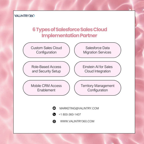 6 Types of Salesforce Sales Cloud Implementation Partner in valintry (1).jpg