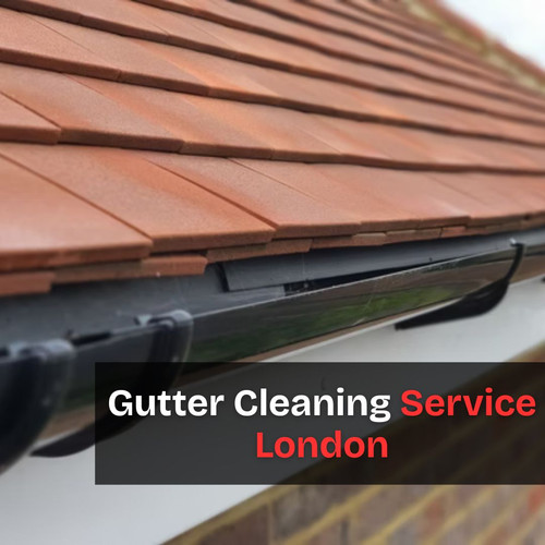 Gutter cleaning service London.jpg