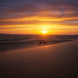 prompt image 3 768x1024