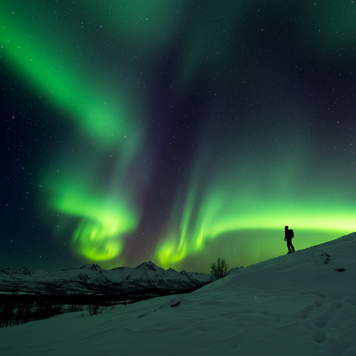 prompt image 3 768x1024.png