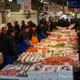 prompt image 6 1152x1152