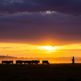 prompt image 6 1152x1152