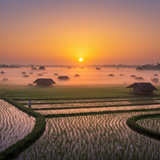 prompt image 3 768x1024