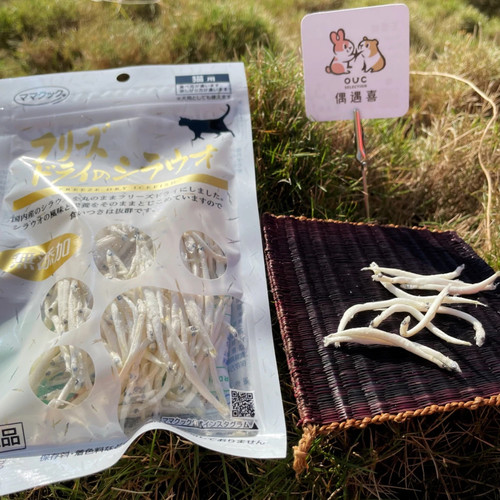 image WH 1200x1200px (11).jpg