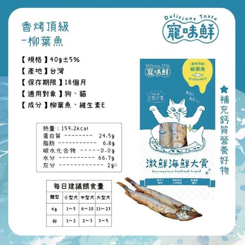 image WH 1200x1200px (51).jpg