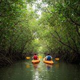 prompt image 5 1152x896