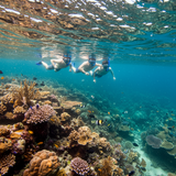 prompt image 5 1152x896