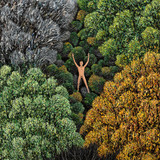 Scott Kahn In the Wilderness