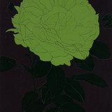 Gary Hume Green Rose