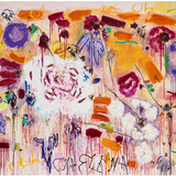 Joan Snyder OH Elena