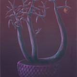 George Rouy Red Lime Tree