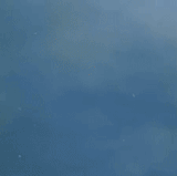 45351.gif