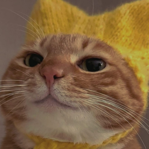 WhatsApp Image 2025 07 29 at 14.04.312.jpg