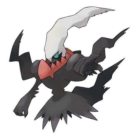 491.webp