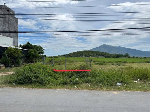 524805459 3671498413156545 5129636746862190290 n