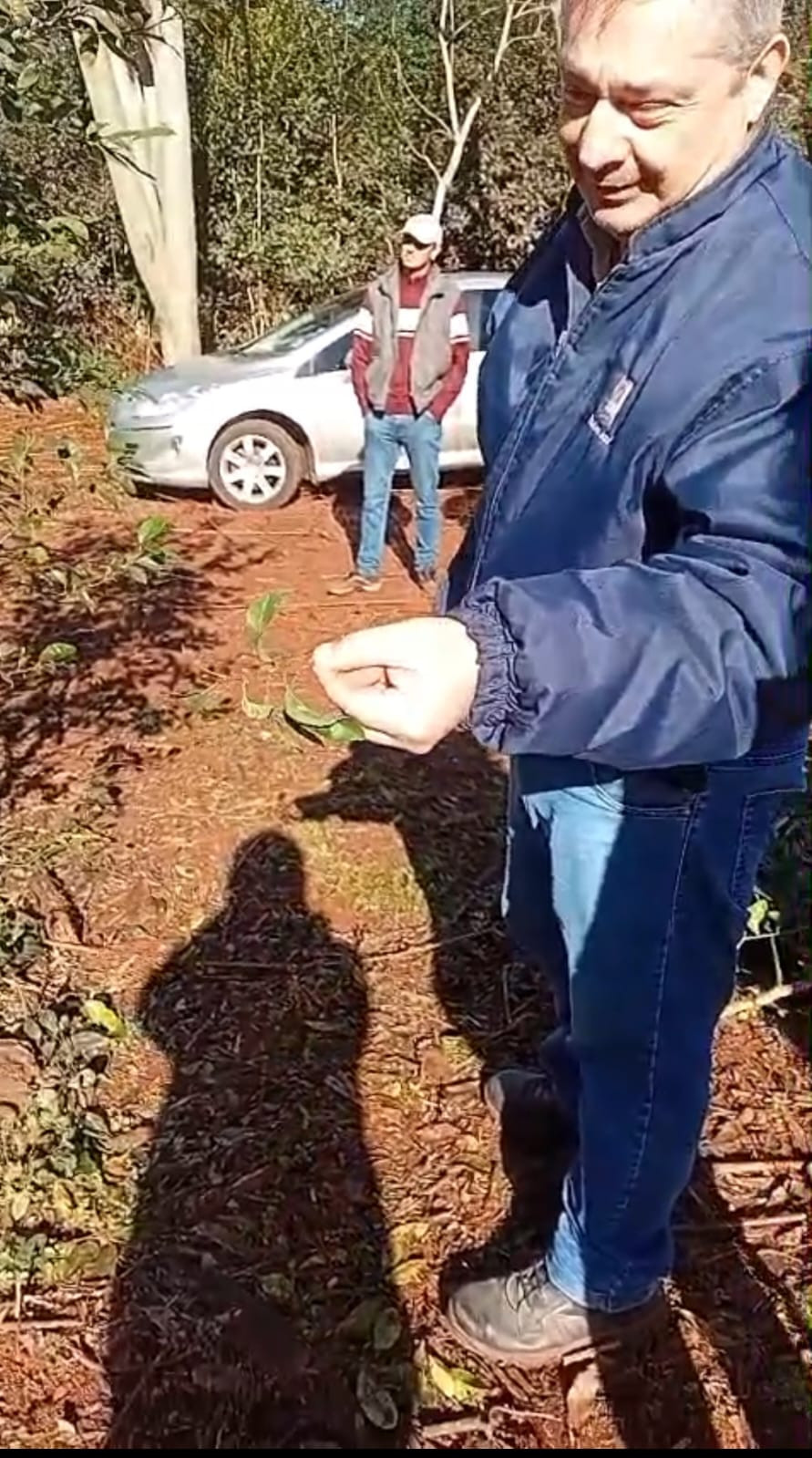 Tres Capones impulsa la capacitación en poda de cítricos junto al INTA