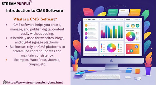 cms software solutions.jpg