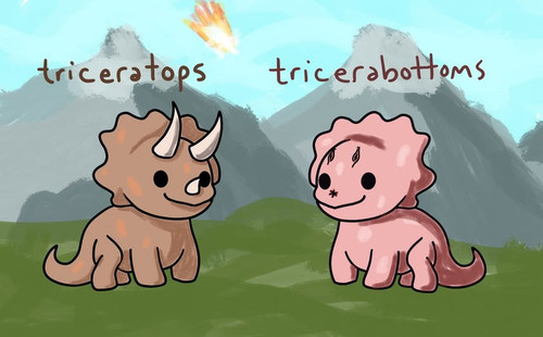 500452813 1319136486234802 2256256673790496312 n.jpg